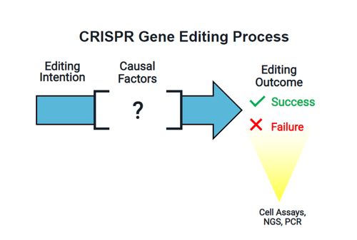 Editing Workflow Editing Workflow
