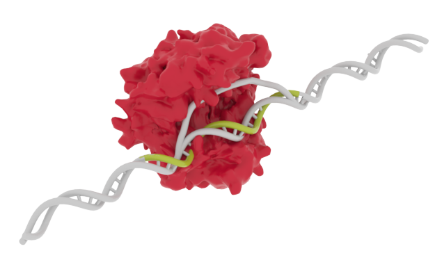 Red CRISPR 3 Red CRISPR 3